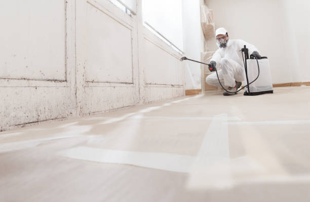 24/7 Emergency Mold Remediation experts in Hopewell, PA